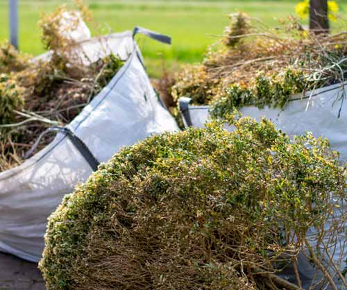 garden clearance